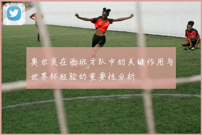 奥尔莫在西班牙队中的关键作用与世界杯经验的重要性分析